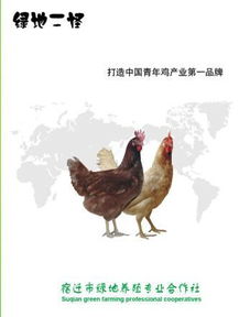 一呼百應(yīng)公司頻道